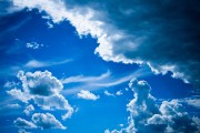 世界游泳赛后选手营养配餐体系标准化实施报告，游泳运动员每日食谱