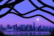 世界短跑线上对抗赛冬夏系列赛技术亮点视频发布，2020短跑比赛